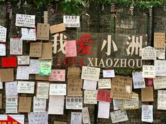 -小洲村