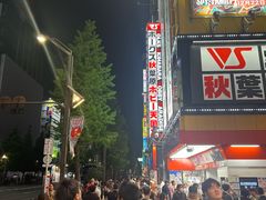 -秋叶原电器街