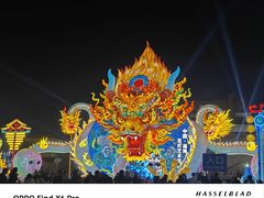 -淄博花灯齐彩城