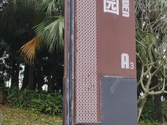 -深圳湾公园(南山区)