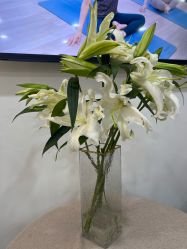 -莫纳瑜伽·普拉提