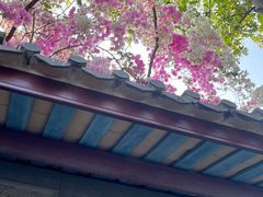 -深圳国际园林花卉博览园