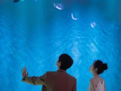 -华夏文旅西安度假区