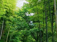 -浙北大峡谷