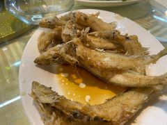 -蛇口康乐快餐鱼仔档(翠苑小区店)