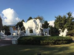 -清迈夜间动物园