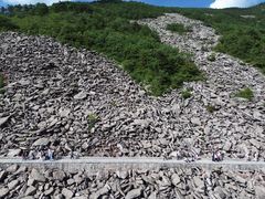 -朱雀国家森林公园