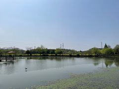 -八卦田遗址公园