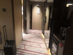 -新加坡瑞士史丹福酒店