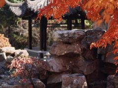 -沈阳植物园