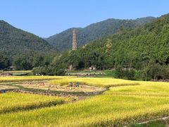 -御清斋总店(天一街店)