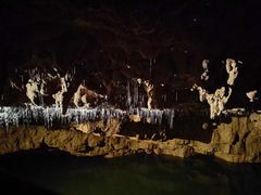 -怀托摩萤火虫洞