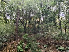 -宝岩生态观光园