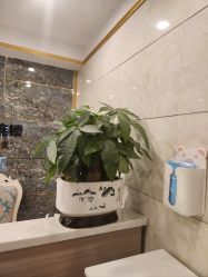 -Dr.林醫生产后修复·配方产康(南京江宁万达店)
