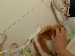 -怪兽屋·羊驼·猫咖·狗咖(俊华广场店)