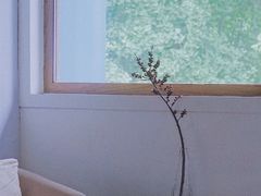 -森果咖啡(人民西路店)