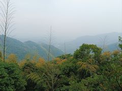 -莫干山风景区
