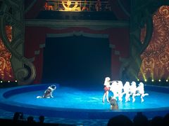 -珠海横琴长隆《卡卡虎奇遇记》