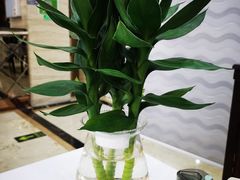 -红菜坊·烤鸭·川鲁宴(石园店)