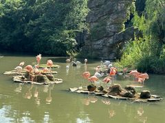 -宁波野生动物园