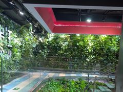 -肉串汪(望京店)