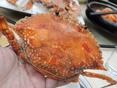 清蒸花蟹-霞海鸭仔饭店(海滨大道北店)