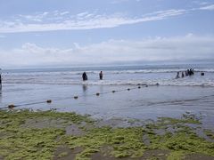 -青岛石老人海水浴场