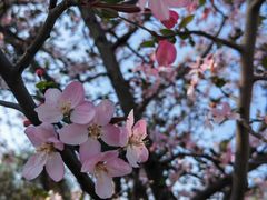 -眉山湿地公园(东坡区)