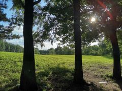 -长白岛森林公园