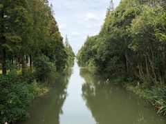 -上海长兴岛郊野公园