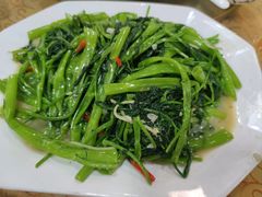 -水上鱼当家