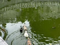 -梵天禅寺