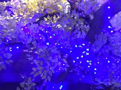 -冰城小镇音乐串吧·聚会餐厅(百子湾店)