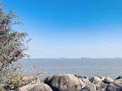 -上海吴淞炮台湾国家湿地公园
