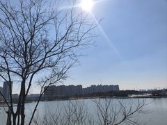 -映月湖中央公园