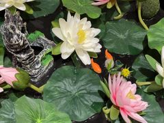 -广东胜利宾馆西关粤中餐厅