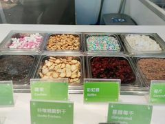 -Salud撒露欧洲冻酸奶(蓝色港湾店)