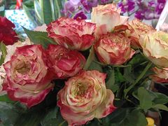 -爱尚花坊(大林路店)