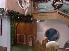 -藦茜花园宠物主题亲子互动体验馆(国顺东路店)
