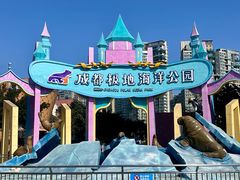 -海合安成都极地海洋公园