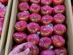 -新鸿港水果市场