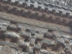 -云岗森林公园