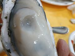 -蚝专家(北滘店)