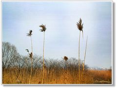 -镇江润扬大桥酒店