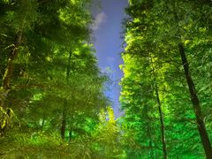 -云龙湖旅游景区