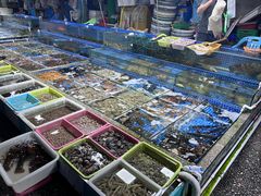 -霞涌市场海鲜摆卖区
