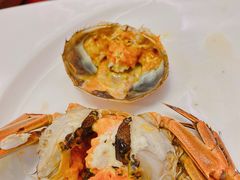 -鸢飞潍坊菜馆(鸢飞大酒店)