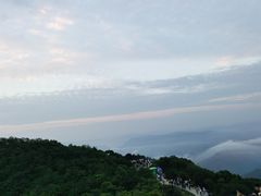 -梧桐山风景名胜区