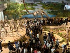 -自贡恐龙博物馆