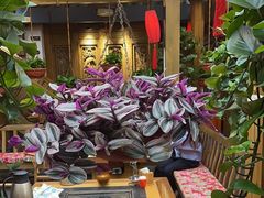 -有一锅·野生菌黑山羊腊排骨火锅(古城北门店)